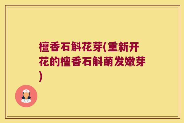 檀香石斛花芽(重新开花的檀香石斛萌发嫩芽)