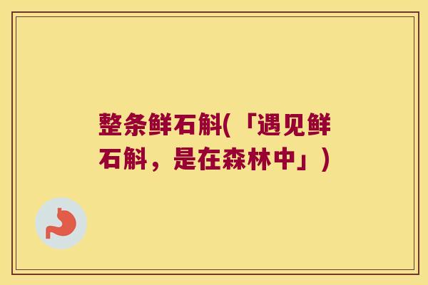 整条鲜石斛(「遇见鲜石斛，是在森林中」)