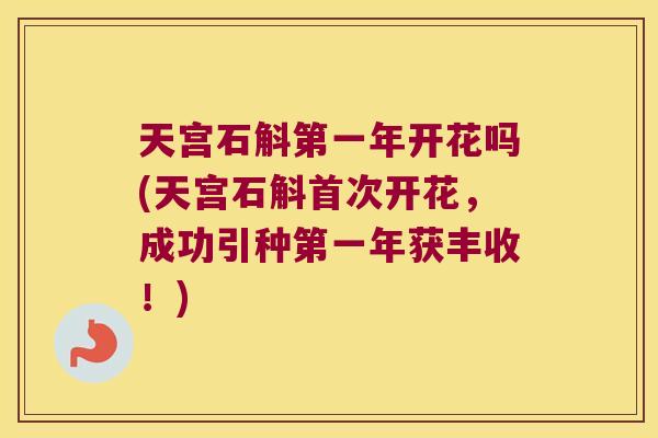 天宫石斛第一年开花吗(天宫石斛首次开花，成功引种第一年获丰收！)