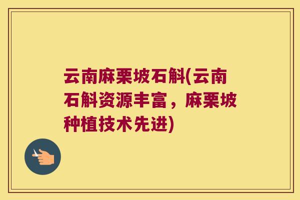 云南麻栗坡石斛(云南石斛资源丰富，麻栗坡种植技术先进)