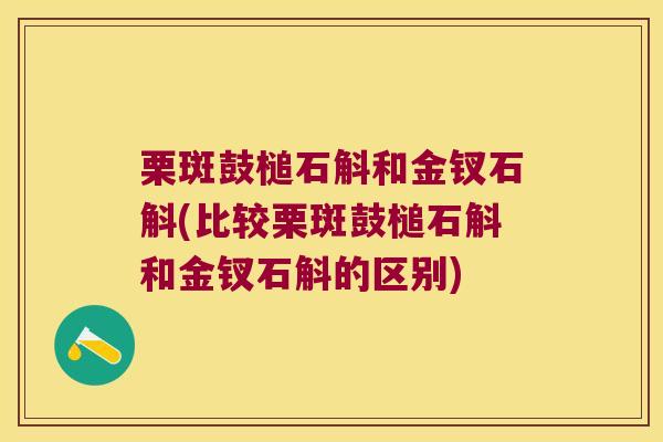 栗斑鼓槌石斛和金钗石斛(比较栗斑鼓槌石斛和金钗石斛的区别)