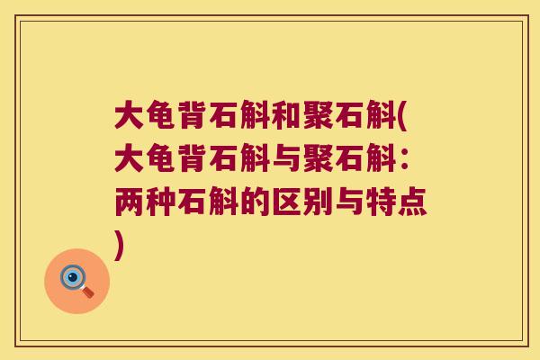 大龟背石斛和聚石斛(大龟背石斛与聚石斛：两种石斛的区别与特点)