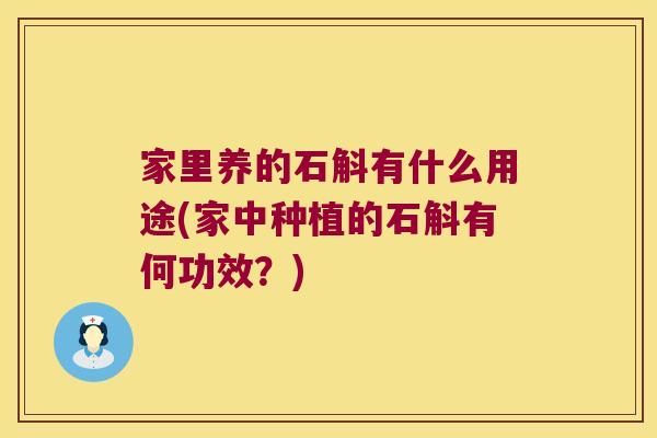 家里养的石斛有什么用途(家中种植的石斛有何功效？)