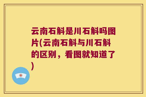 云南石斛是川石斛吗图片(云南石斛与川石斛的区别，看图就知道了)