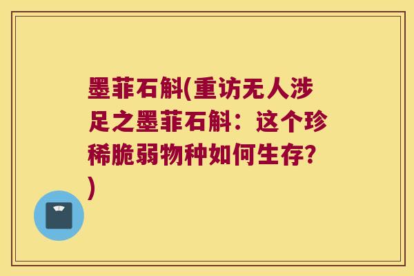 墨菲石斛(重访无人涉足之墨菲石斛：这个珍稀脆弱物种如何生存？)