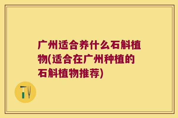 广州适合养什么石斛植物(适合在广州种植的石斛植物推荐)