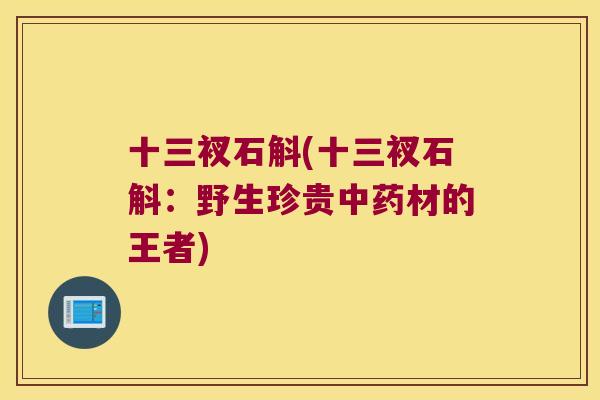 十三衩石斛(十三衩石斛：野生珍贵材的王者)
