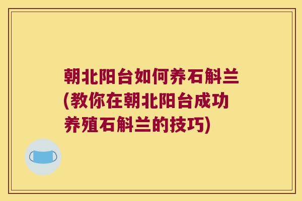 朝北阳台如何养石斛兰(教你在朝北阳台成功养殖石斛兰的技巧)