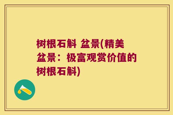 树根石斛 盆景(精美盆景：极富观赏价值的树根石斛)