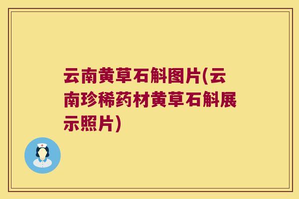 云南黄草石斛图片(云南珍稀药材黄草石斛展示照片)