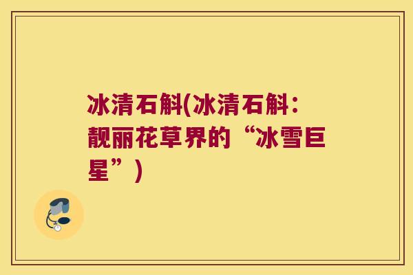 冰清石斛(冰清石斛：靓丽花草界的“冰雪巨星”)