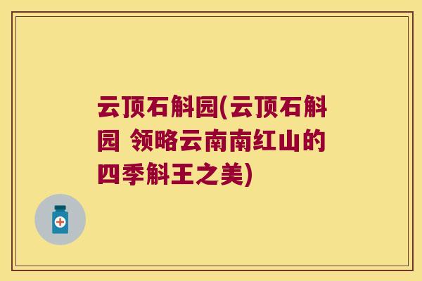 云顶石斛园(云顶石斛园 领略云南南红山的四季斛王之美)