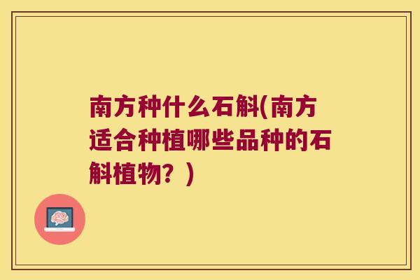 南方种什么石斛(南方适合种植哪些品种的石斛植物？)