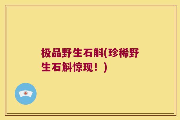 极品野生石斛(珍稀野生石斛惊现！)
