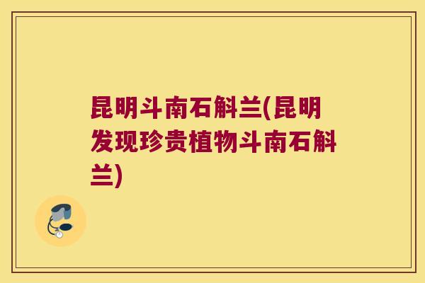 昆明斗南石斛兰(昆明发现珍贵植物斗南石斛兰) 昆明斗南石斛兰(昆明发现珍贵植物斗南石斛兰)