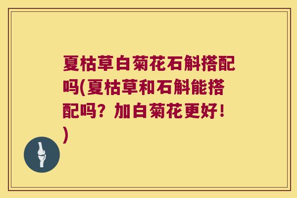 夏枯草白菊花石斛搭配吗(夏枯草和石斛能搭配吗？加白菊花更好！)