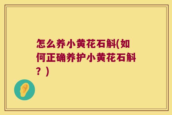 怎么养小黄花石斛(如何正确养护小黄花石斛?) 怎么养小黄花石斛(如何正确养护小黄花石斛?)