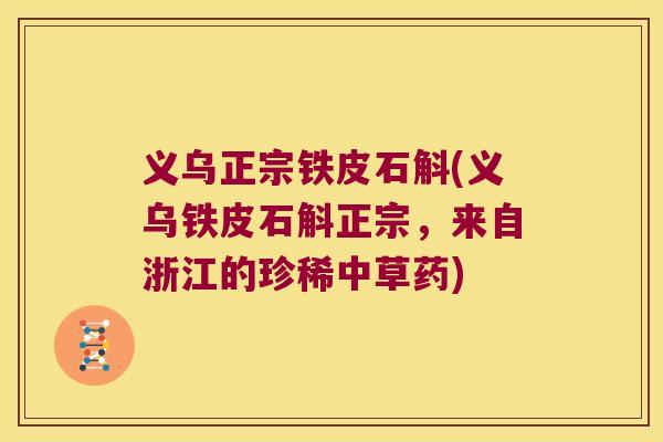 义乌正宗铁皮石斛(义乌铁皮石斛正宗，来自浙江的珍稀中草药)