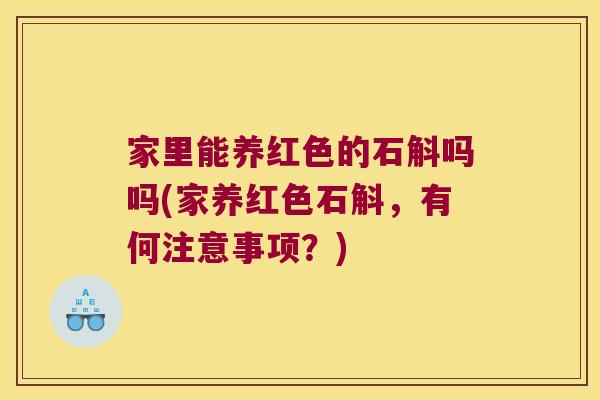 家里能养红色的石斛吗吗(家养红色石斛，有何注意事项？)