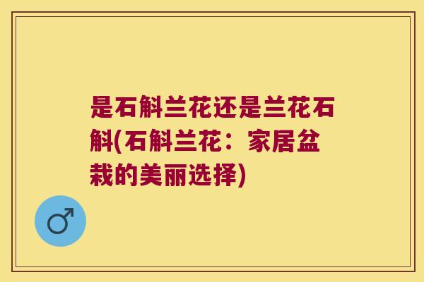 是石斛兰花还是兰花石斛(石斛兰花:家居盆栽的美丽选择) 是石斛兰花还是兰花石斛(石斛兰花:家居盆栽的美丽选择)