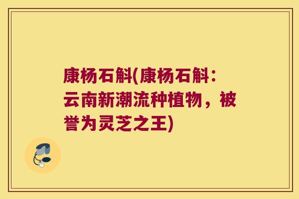 康杨石斛(康杨石斛：云南新潮流种植物，被誉为灵芝之王)