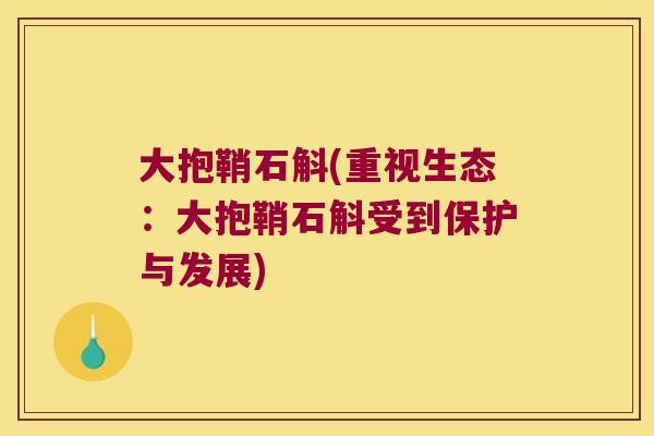 大抱鞘石斛(重视生态:大抱鞘石斛受到保护与发展) 大抱鞘石斛(重视生态:大抱鞘石斛受到保护与发展)