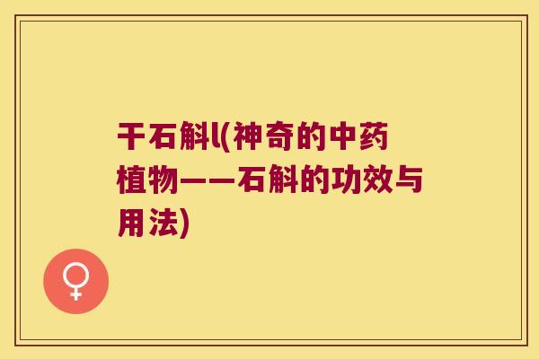 干石斛l(神奇的中药植物——石斛的功效与用法)