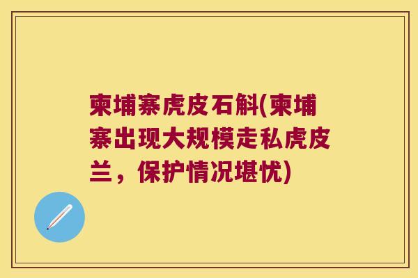 柬埔寨虎皮石斛(柬埔寨出现大规模走私虎皮兰，保护情况堪忧)