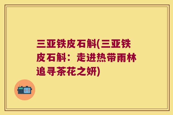 三亚铁皮石斛(三亚铁皮石斛：走进热带雨林追寻茶花之妍)