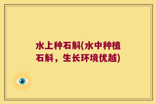 水上种石斛(水中种植石斛，生长环境优越)