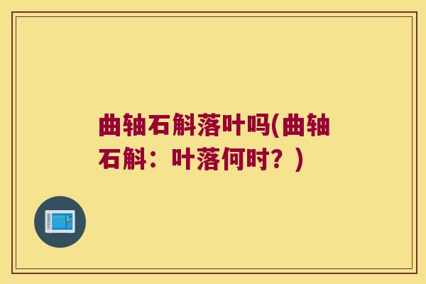 曲轴石斛落叶吗(曲轴石斛：叶落何时？)