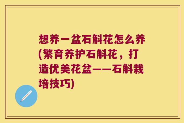 想养一盆石斛花怎么养(繁育养护石斛花，打造优美花盆——石斛栽培技巧)