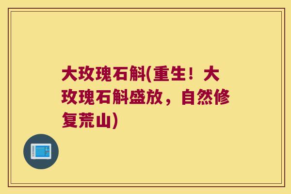 大玫瑰石斛(重生！大玫瑰石斛盛放，自然修复荒山)