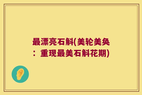 最漂亮石斛(美轮美奂：重现最美石斛花期)
