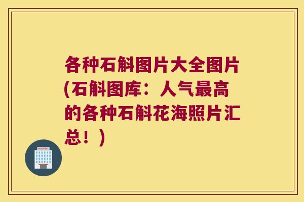 各种石斛图片大全图片(石斛图库：人气最高的各种石斛花海照片汇总！)