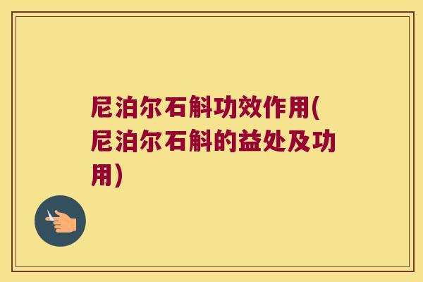 尼泊尔石斛功效作用(尼泊尔石斛的益处及功用)