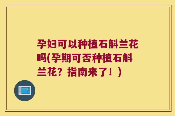 孕妇可以种植石斛兰花吗(孕期可否种植石斛兰花？指南来了！)