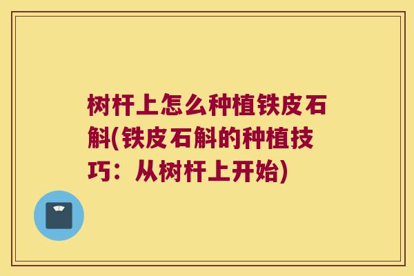 树杆上怎么种植铁皮石斛(铁皮石斛的种植技巧：从树杆上开始)