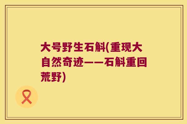 大号野生石斛(重现大自然奇迹——石斛重回荒野)
