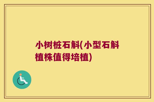 小树桩石斛(小型石斛植株值得培植)