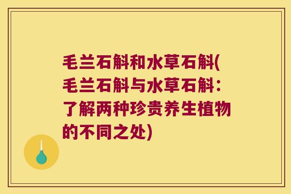 毛兰石斛和水草石斛(毛兰石斛与水草石斛:了解两种珍贵养生植物的不同之处) 毛兰石斛和水草石斛(毛兰石斛与水草石斛:了解两种珍贵养生植物的不同之处)