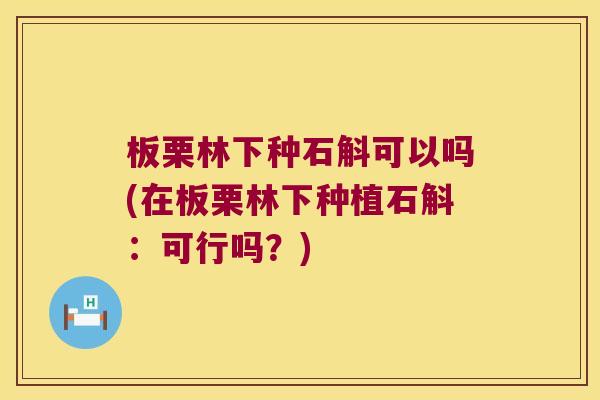 板栗林下种石斛可以吗(在板栗林下种植石斛：可行吗？)