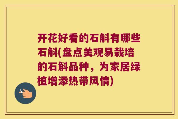 开花好看的石斛有哪些石斛(盘点美观易栽培的石斛品种，为家居绿植增添热带风情)