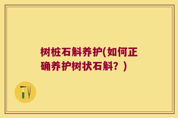 树桩石斛养护(如何正确养护树状石斛？)