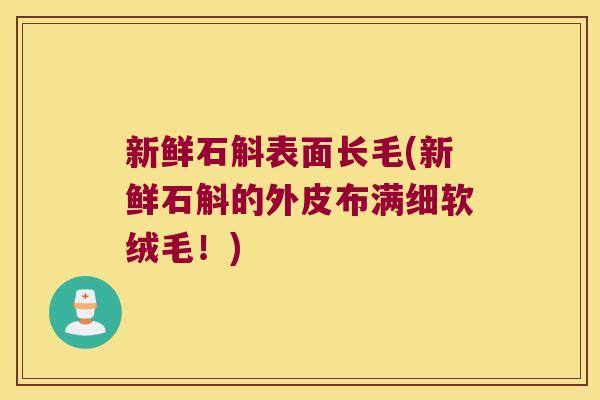 新鲜石斛表面长毛(新鲜石斛的外皮布满细软绒毛!) 新鲜石斛表面长毛(新鲜石斛的外皮布满细软绒毛!)