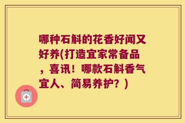 哪种石斛的花香好闻又好养(打造宜家常备品，喜讯！哪款石斛香气宜人、简易养护？)