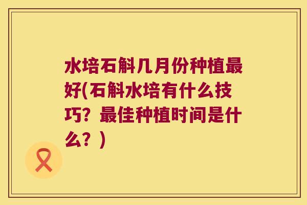 水培石斛几月份种植最好(石斛水培有什么技巧？最佳种植时间是什么？)