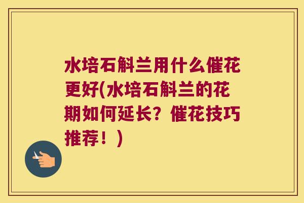 水培石斛兰用什么催花更好(水培石斛兰的花期如何延长？催花技巧推荐！)