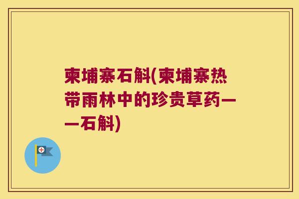 柬埔寨石斛(柬埔寨热带雨林中的珍贵草药——石斛)