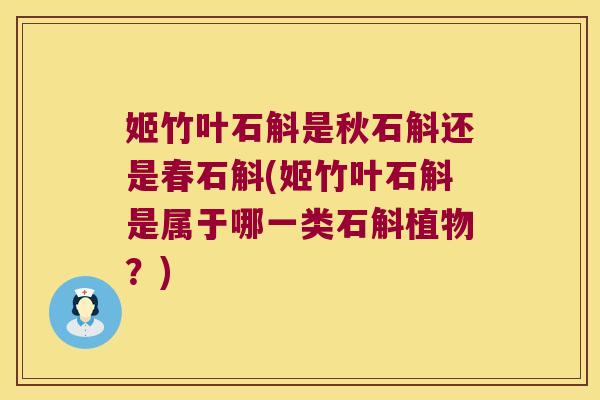 姬竹叶石斛是秋石斛还是春石斛(姬竹叶石斛是属于哪一类石斛植物？)